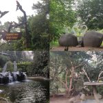 Chandigarh Bird Park