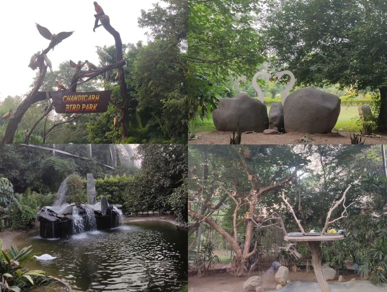 Chandigarh Bird Park