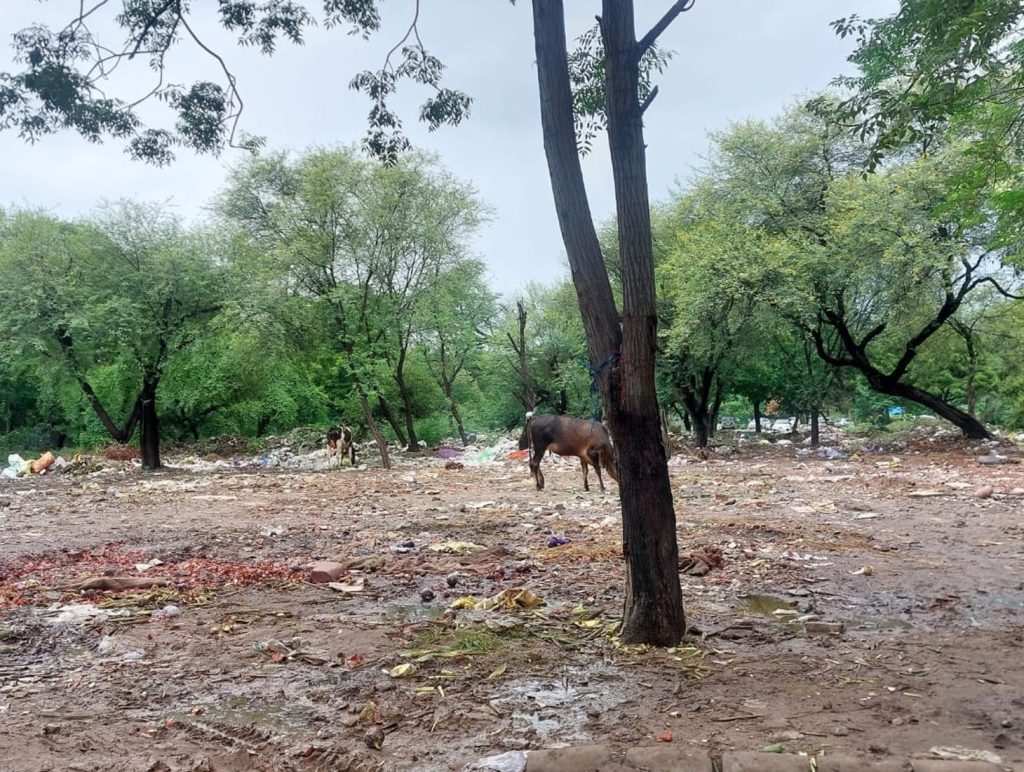Kisan Mandi’s Face a Growing Hygiene Crisis