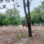 Kisan Mandi’s Face a Growing Hygiene Crisis